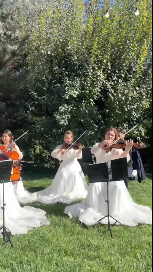 Weddings — Photo 7